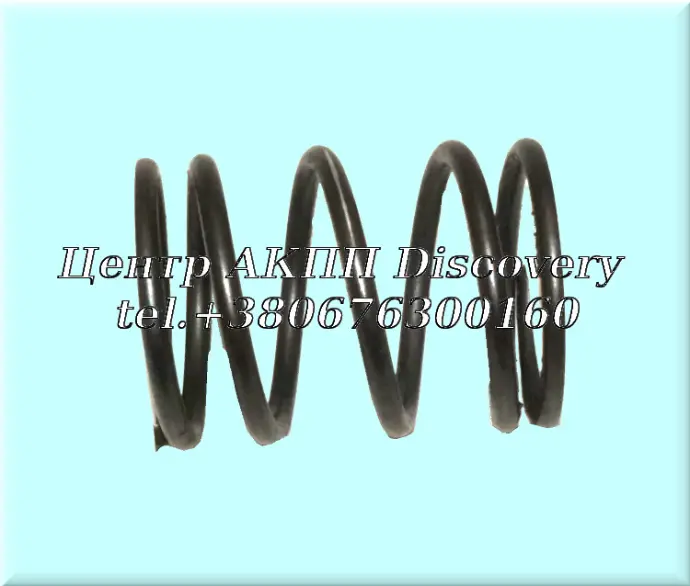 Демпферна Пружина Пакет 3-4 Передачі 01M/01N/01P 95-up  (Б/В)