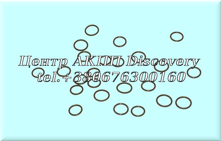 Комплект Ущільнювальних Кілець Електро Магнітних Клапанів 0AM (Autoline)