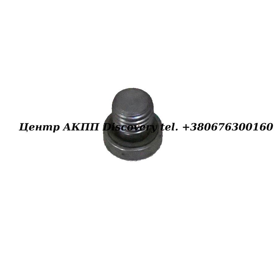 SCREW PLUG ZF