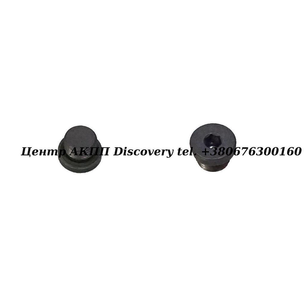 SCREW PLUG ZF