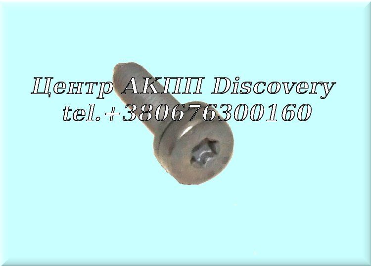 Болт Масляного Піддону АКПП 5HP19/5HP24 (ZF)