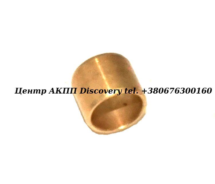 BUSHING, PUMP COVERSHAFT & SHAFT TO PUMP BODY RE0F10A, JF011E, JF016E/RE0F10D, JF017E/RE0F10E (DURA-BOND)