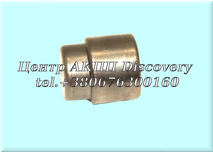 Clutch Bearing 02E, 0AM (Luk)