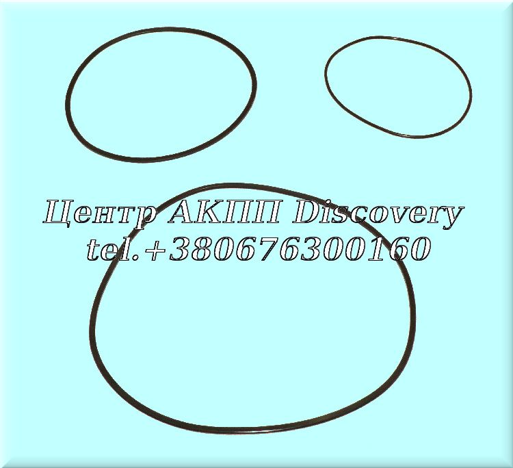 O-Ring Kit Low/Reverse Brake R5/V5A51 (Transtar)