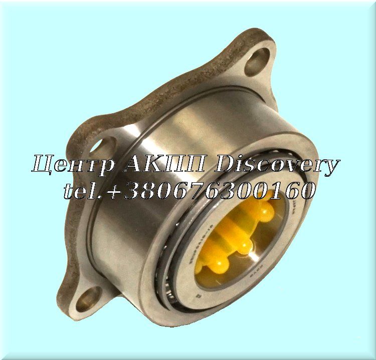 Differential Drive Gear Bearing TR690 (OEM)