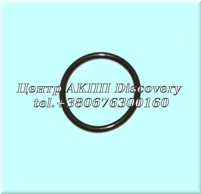 Ущільнююче Кільце Вхідного Вала JF015 (Оригінал)