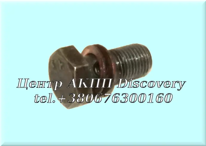 Болт  Трубок Маслопадачі F4A51 (Б/В)