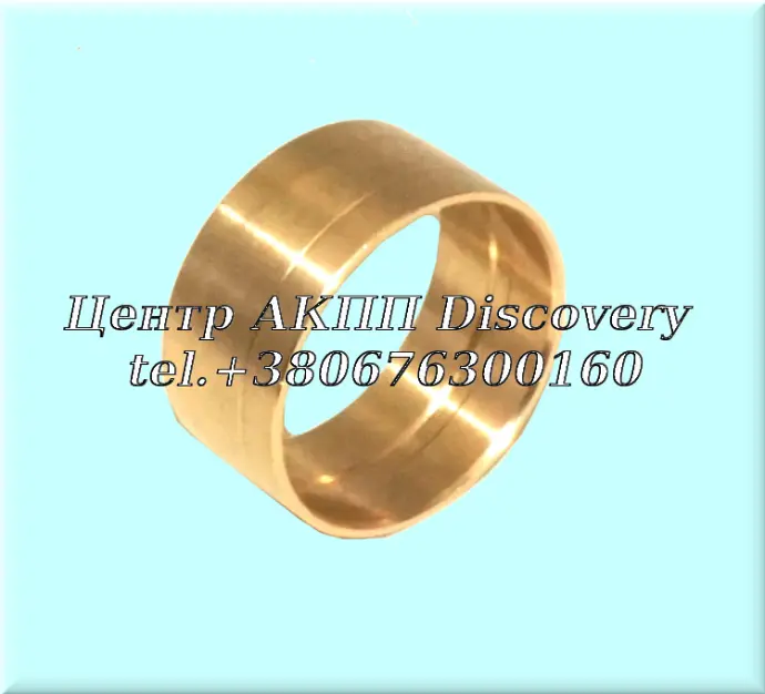 Bushing Driven Gear To Case 6T40/6T45/6F35 (GFX)