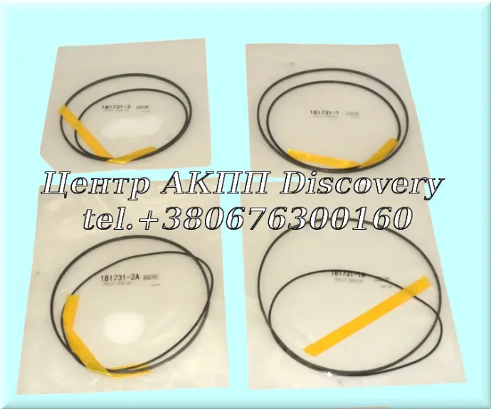O-Ring & Teflon Ring Kit  CVT JF011 (Transpeed)