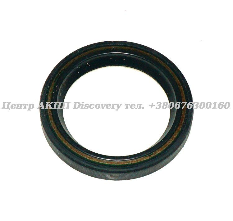 SEAL PIN/GOV VW010 79-UP (Transtar)