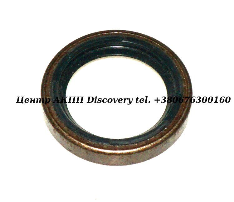 SEAL PIN CASE VW 087 75-79  (Transtar)