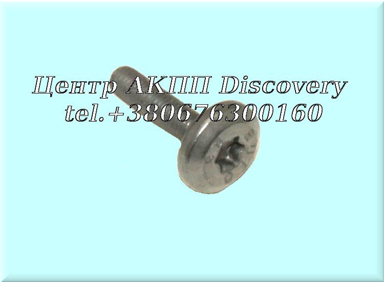 Болт Масляного Піддону 6HP26/6HP19/6HP21 (ZF)