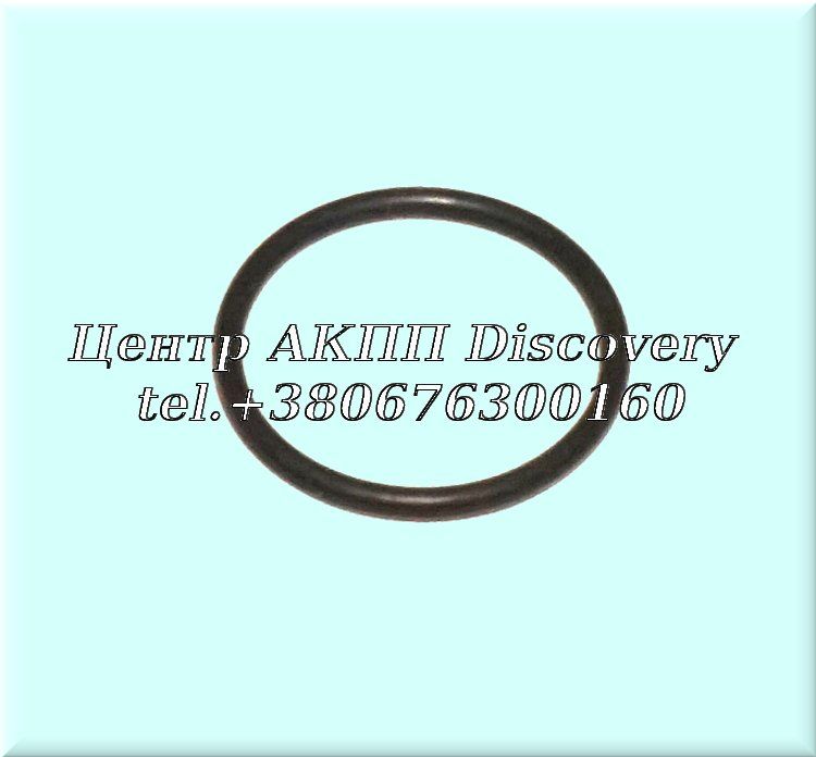 O-Ring Band 'B2' (OEM)