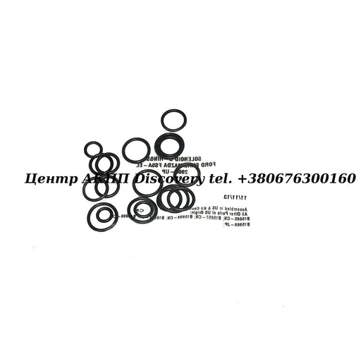 [48001] O-Ring Kit Solenoid FNR5 (Transtar)
