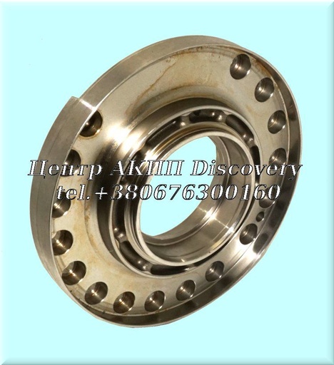 [1019314042] BEARING PLATE 4HP20 (OEM)