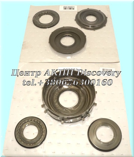 [079670] Комплект Обгумованних Поршнів DSI M11 (Alto)