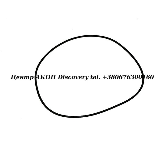 [9030199093] O-Ring  PISTON B1 U660 (OEM)