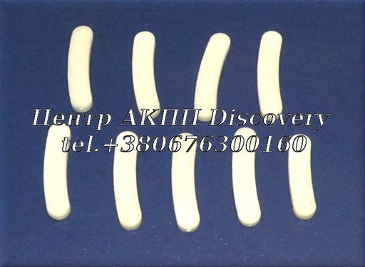 [318642] Комплект Пластикових Шайб Демпфера Зчеплення DCT450 (MPS6) 07-up 6DCT450 (Autoline)