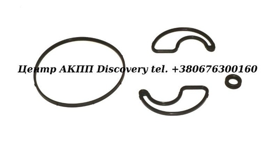 [802002-1] Ring Kit Oil Pump CVT 01J (Transtar)