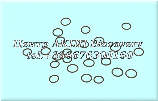 [3280001] Комплект Ущільнювальних Кілець Електро Магнітних Клапанів 0AM (Autoline)