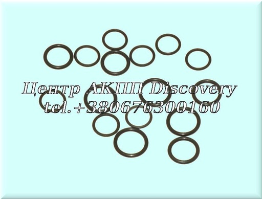 [1260001] O-Ring Kit Solenoids 6R80/6R140 (Transtar)
