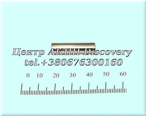 [807807-2] Roller Pulley CVT JF011A / RE0F10A (NSK)