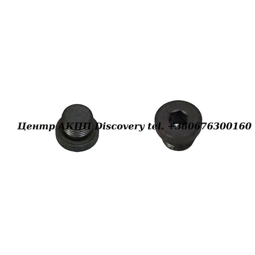 [0501322895] Різьбова Пробка ZF