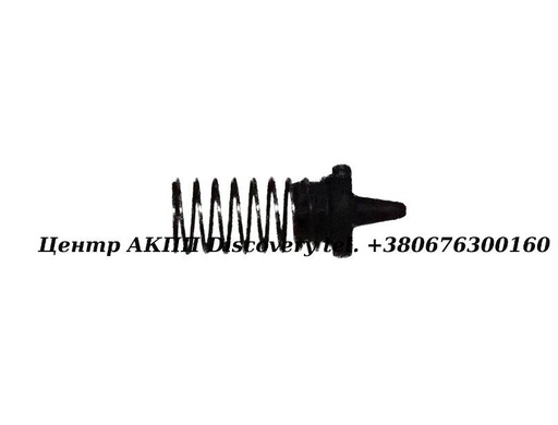 [1060227016] Клапан з Пружиною Гідравлічного Блоку АКПП 5HP19 (ZF)
