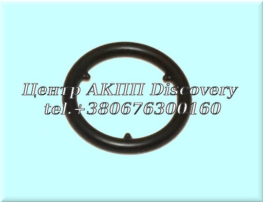 [255645LJA01] O-ring Oil Coller CVT BC5A (OEM)