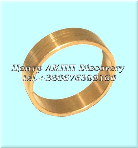 [129034B] Bushing Pump 5HP19/FL/FLA (Transtar)