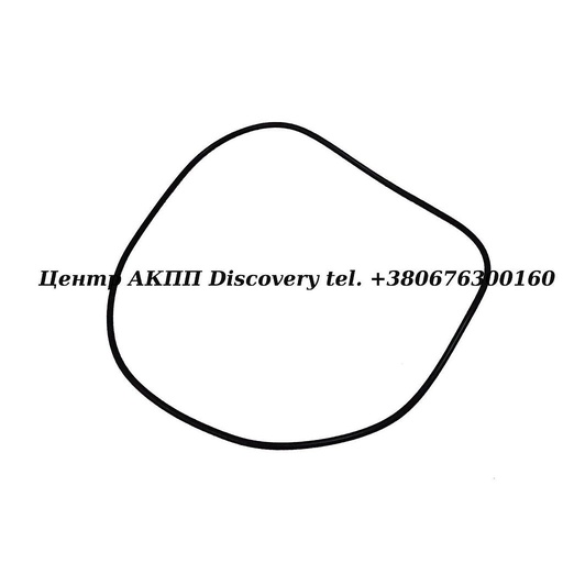 [0734313178] Кільце Ущільнююче Масляного Насоса 5HP19/5HP24 (ZF)