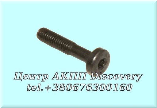 [0736101238] Болт Ступиці Масляного Насоса 5HP24 (ZF)