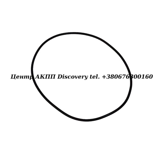 [0734313007] O-ring Piston Clutch "B"/Reverse 5HP19/5HP24/6HP21/6HP26 (ZF)